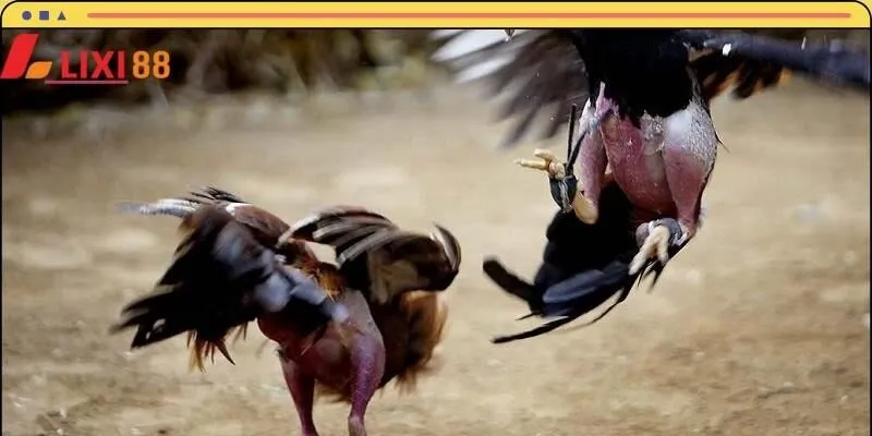 Tránh những sai lầm để giảm thiểu rủi ro khi cá cược